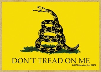 Second Amendment Wood Fridge Magnets
