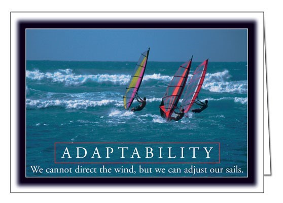 Motivational Success Greeting Cards