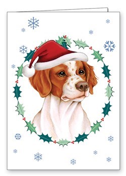 Seasonal (Christmas) 5" x 7" Cards