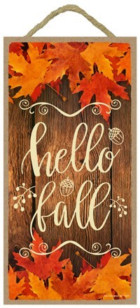 Fall & Autumn
