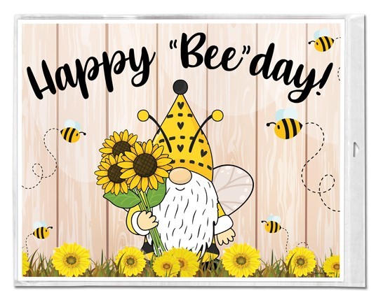 BIRTHDAY & OTHER FUN 16" x 20" YARD SIGNS