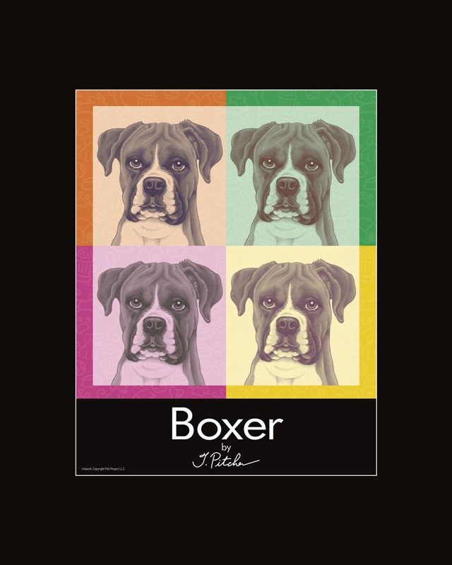 Boxer (uncropped ears) 16" x 20" Matted Print. Mat is sealed in a crystal c… 01215