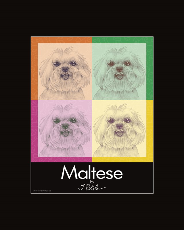Maltese (puppy cut / short hair cut) 16" x 20" Matted Print. Mat is sealed … 01252