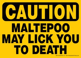 CAUTION - Maltepoo may lick you to death Express Yourself Sign 69219