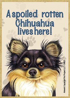 A spoiled rotten Chihuahua (Long haired, black and tan) lives here! wood fr… 39823