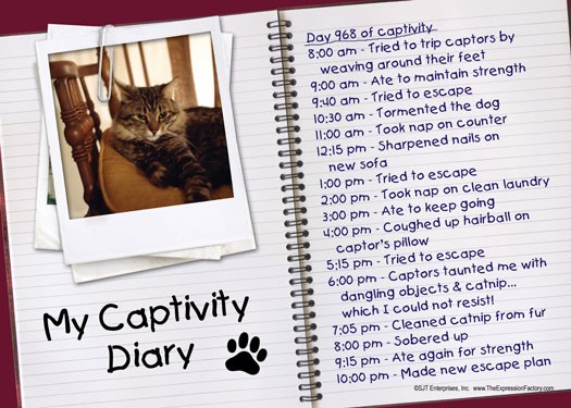 My Captivity Diary - Day 968 of Captivity (picture of cat and journal timel… 69214