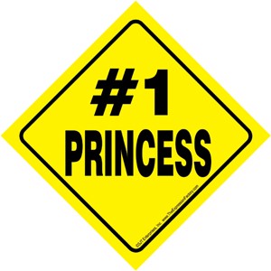 #1 Princess Auto Attitudes Car Signs with suction cup 23003