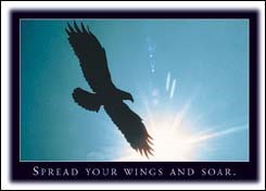 Spread your wings and soar. Motivational Success 5" x 7" Greeting Cards (bl… 19845