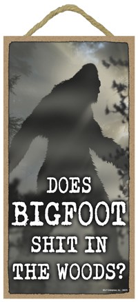 Does Bigfoot shit in the woods? 5" x 10" primitive wood plaque, sign 94979
