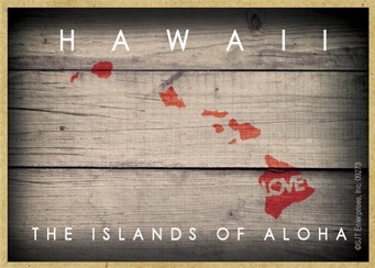 HAWAII - State Outline with "Love" and State Motto 2.5" X 3.5" primitive wo… 09273