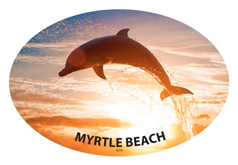 Dolphin Jumping Out Of Water With Sun Behind and Your City, State and Beach 12774