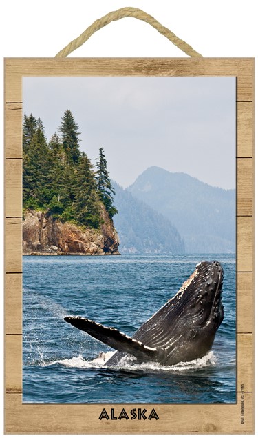 Whale Breaching Up Close With Trees And Mountains In Background 77095