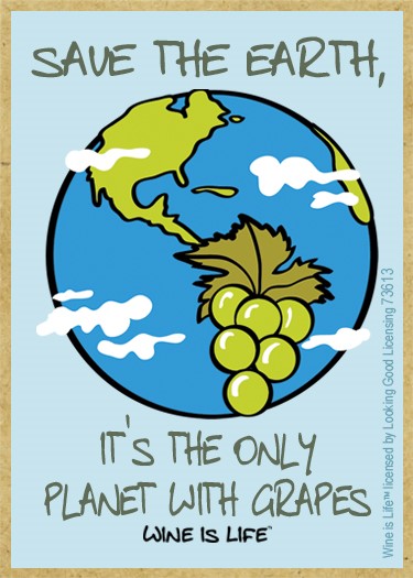 Save the Earth, its the only planet with grapes wood fridge magnet 73613