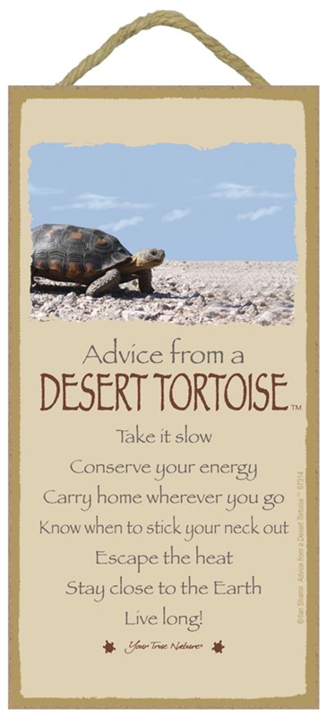 Desert Tortoise / Advice From - 5" x 10" wood plaque / sign 67314