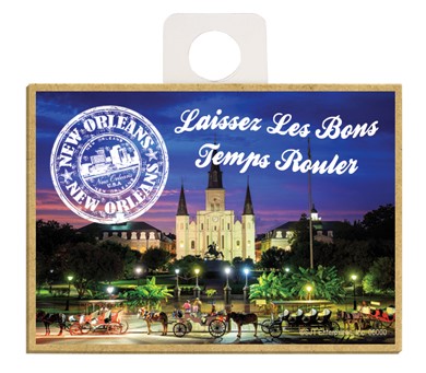"Laissez Les Bons Temps Rouler", St. Louis Cathedral at night 09138