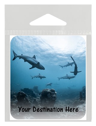 Sharks swarming around a coral reef small sticker. SS00656