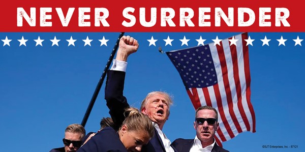 Trump - NEVER SURRENDER (blood on his face and fist lifted, flag in bkgd) 87121