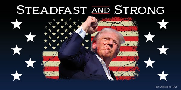 Trump - STEADFAST AND STRONG (blood on his face and fist lifted, cracked flag in 87123