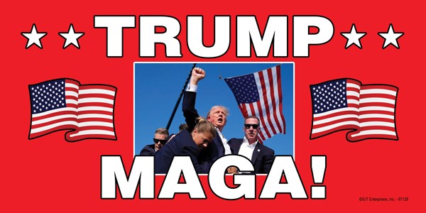 Trump! Maga! - Picture of Trump w/secret service raising fist and flags 87128