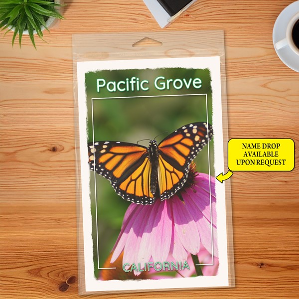 Butterfly Journal 5.5" x 8.5" Booklet 69303